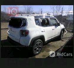 جيب رينيجيد